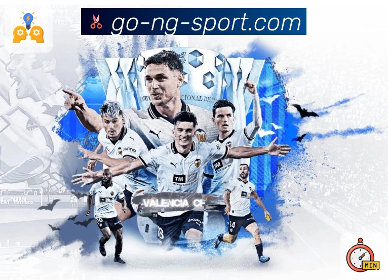 NG体育发展历程